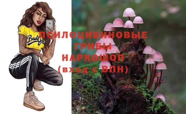 круглые Бронницы