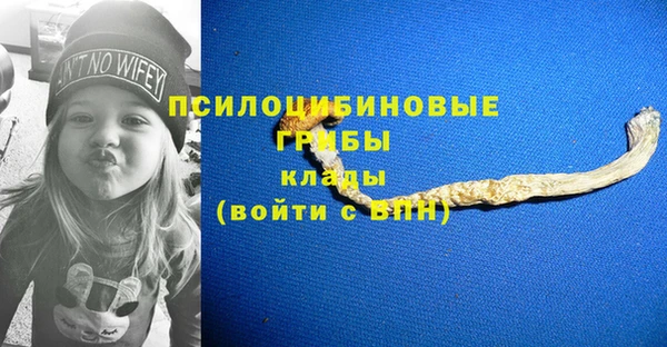 круглые Бронницы